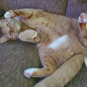 Meet your Posher, Nathaniel